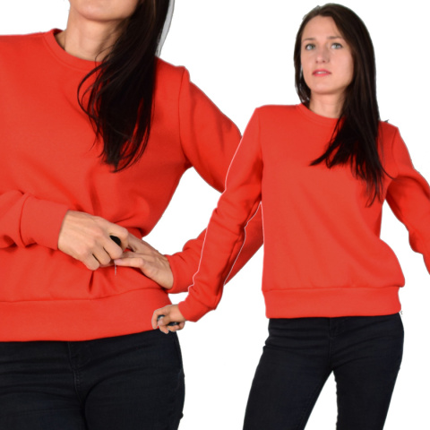 bluza _ dresówka miś bluza _ dresówka miś