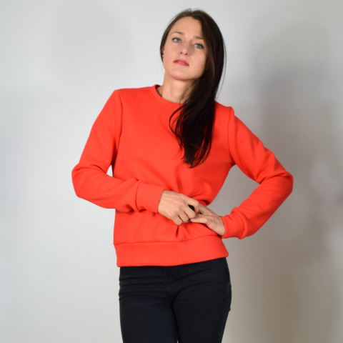 bluza _ dresówka miś bluza _ dresówka miś